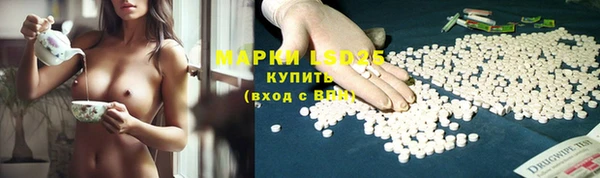дмт Мегион