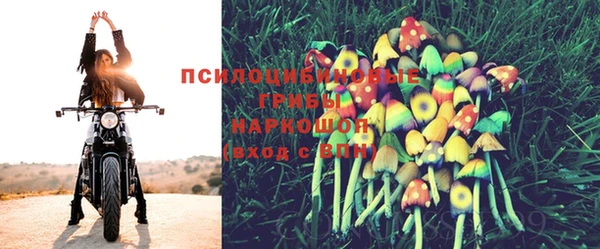 а пвп мука Медногорск
