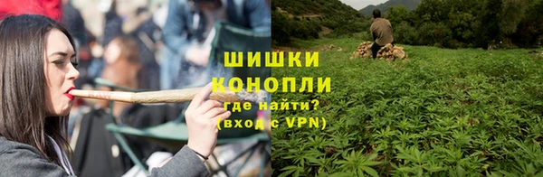дмт Мегион