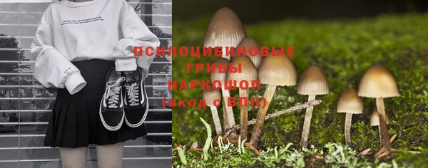 a pvp Медвежьегорск